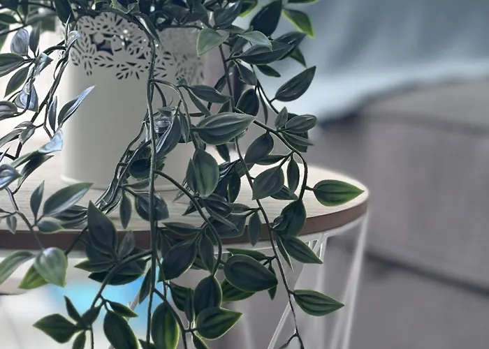 Secreto De Mar En Playa De Americas