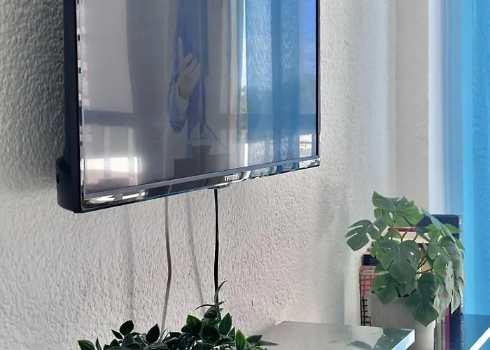 Secreto De Mar En Playa De Americas